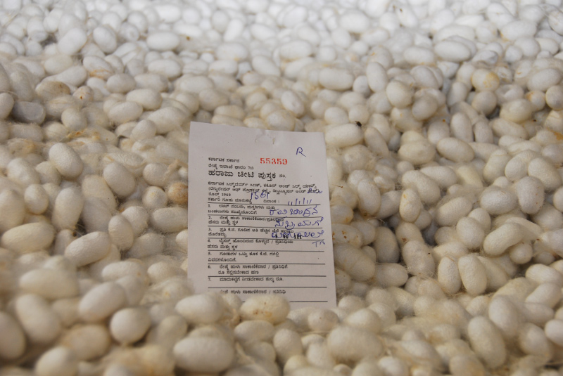 50,000 kilos of cocoons sold per day.