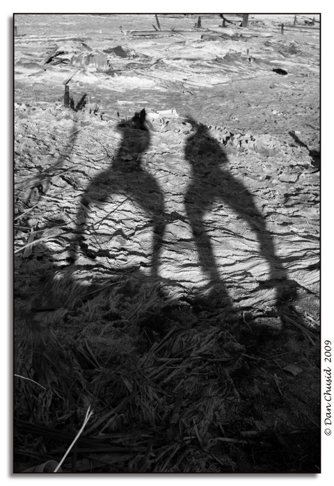 Bombay Shadows