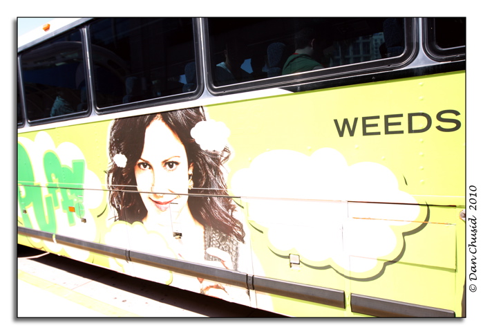 Weeds