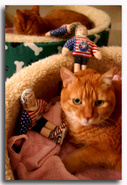 Bailey, Bill And Bill