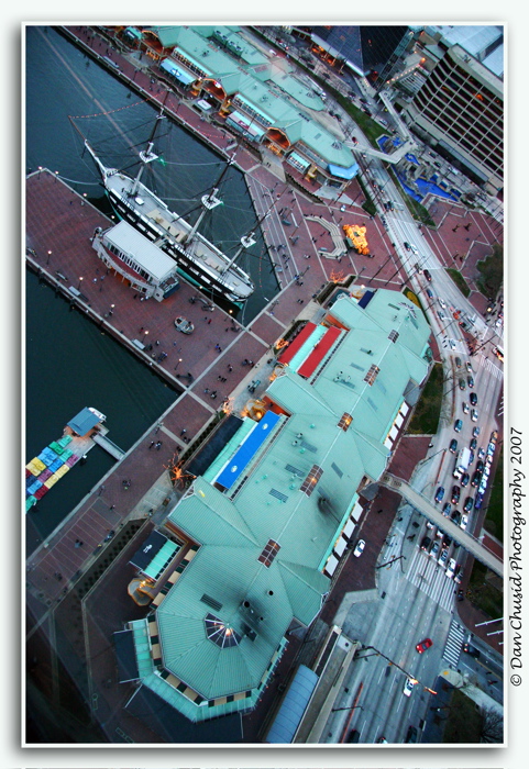 The Harbor