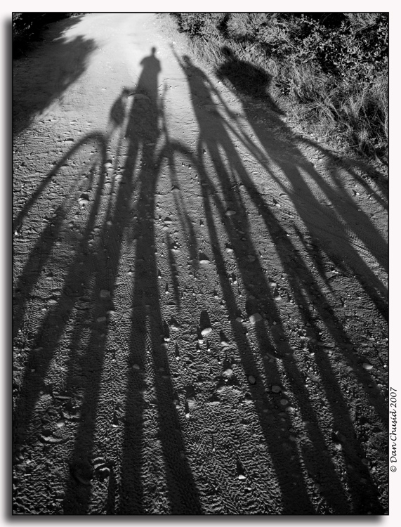 On The Trail