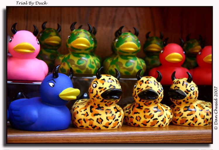 Trial By Duck