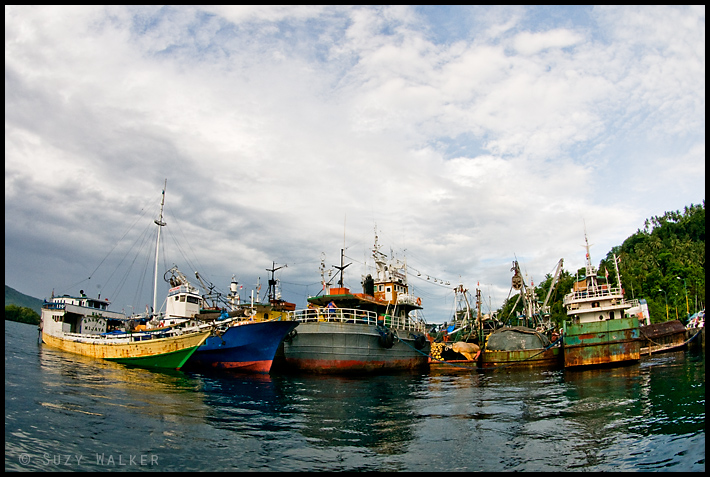 Lembeh Port