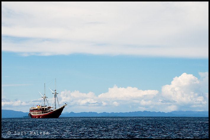 Seven Seas on the horizon