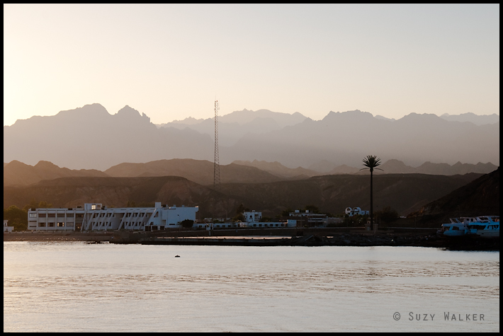 Port at sunset