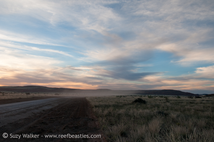 Road Dust