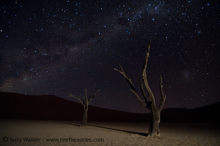 Milky Way