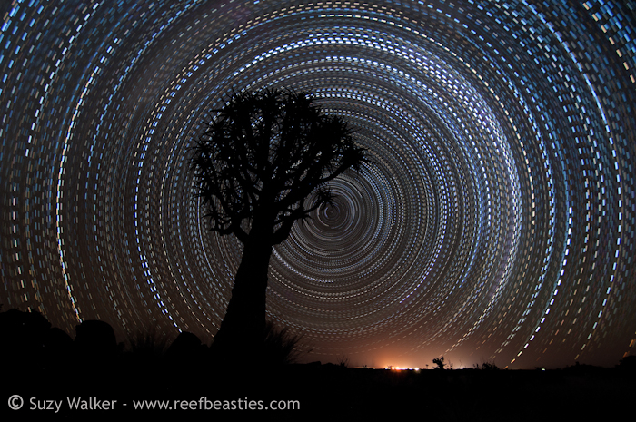 Morse code star trail