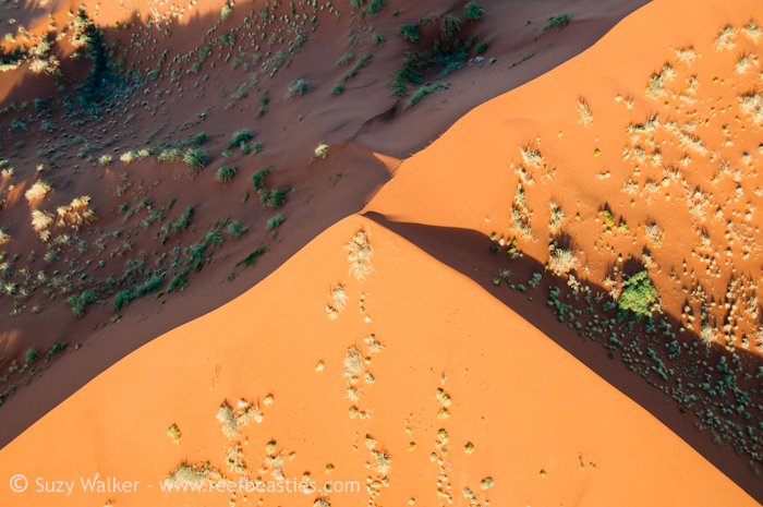 Dune faces