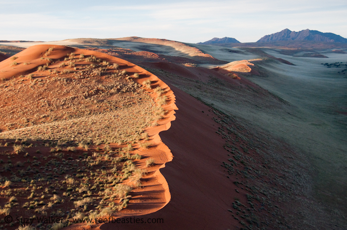 Dunes from the air 3