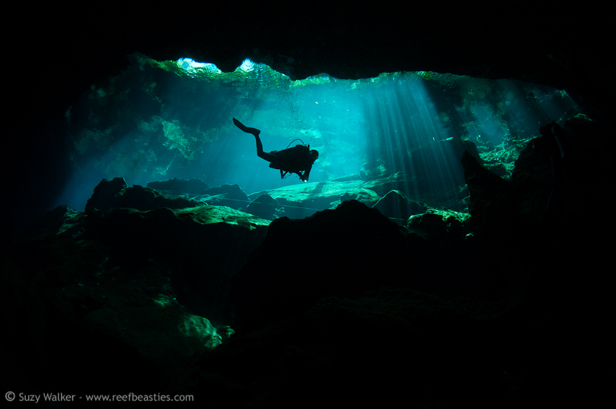 Kukulkan Cenote 7