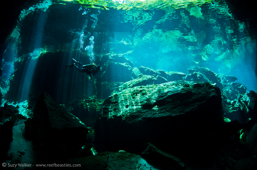 Kukulkan Cenote 9