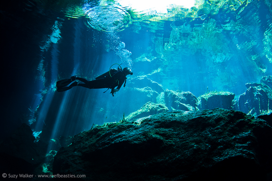 Kukulkan Cenote 11