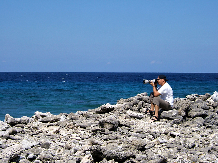 Long Lens, Bonaire