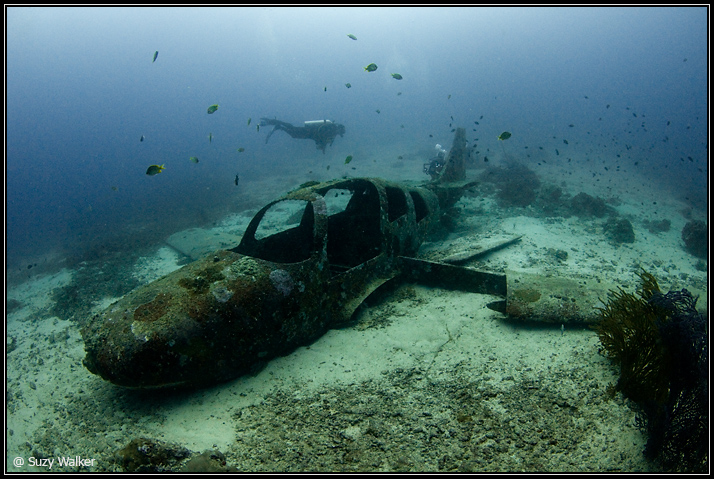 Plane wreck