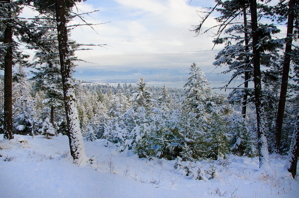 View of Flathead Lake From Snow Shoeing