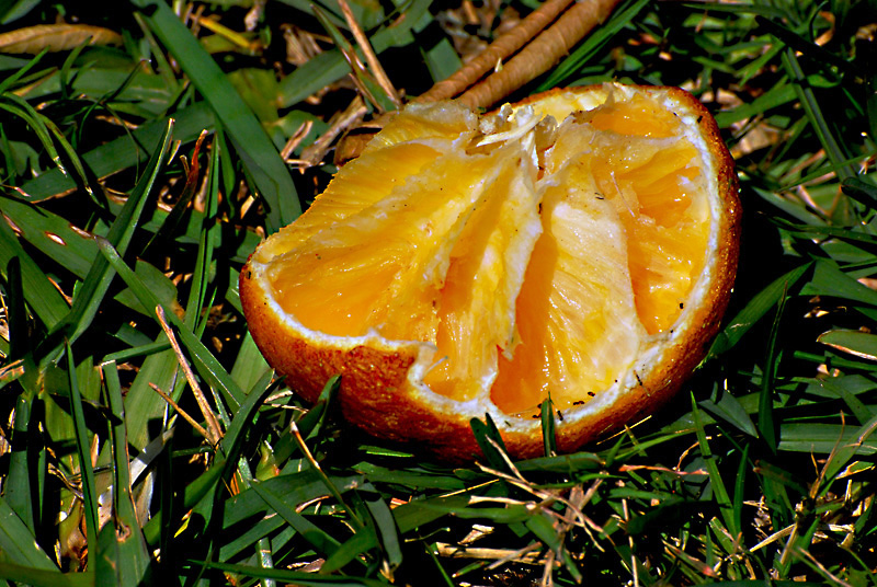 DSC_0033.JPG