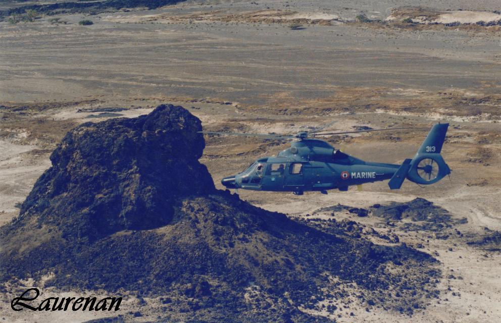 Mission Salamandre 1991