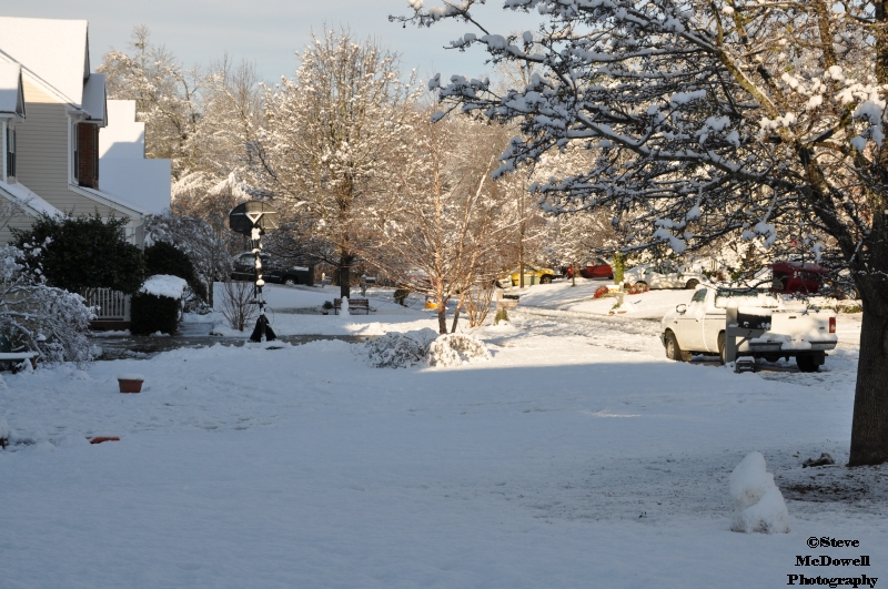 DSC_1385.JPG