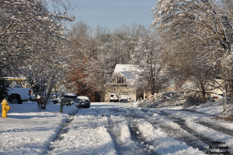 DSC_1407.JPG