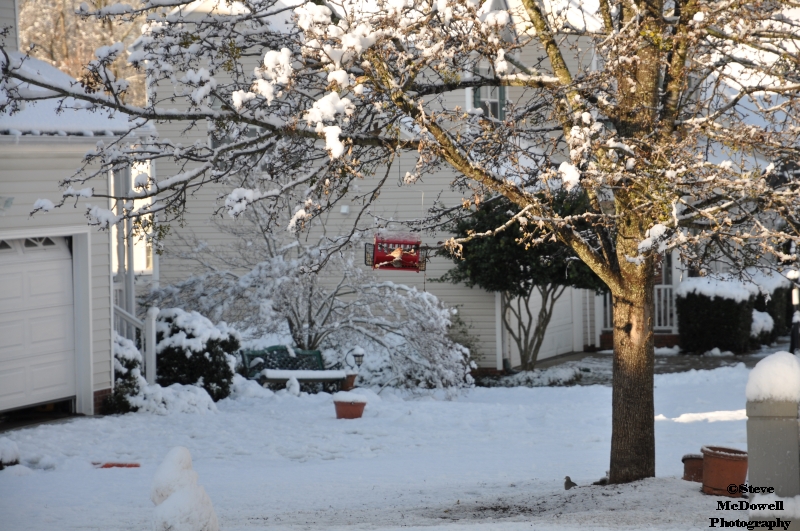 DSC_1416.JPG