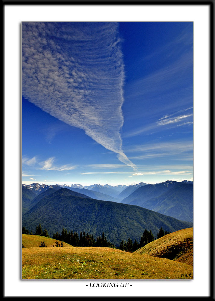 Looking up...