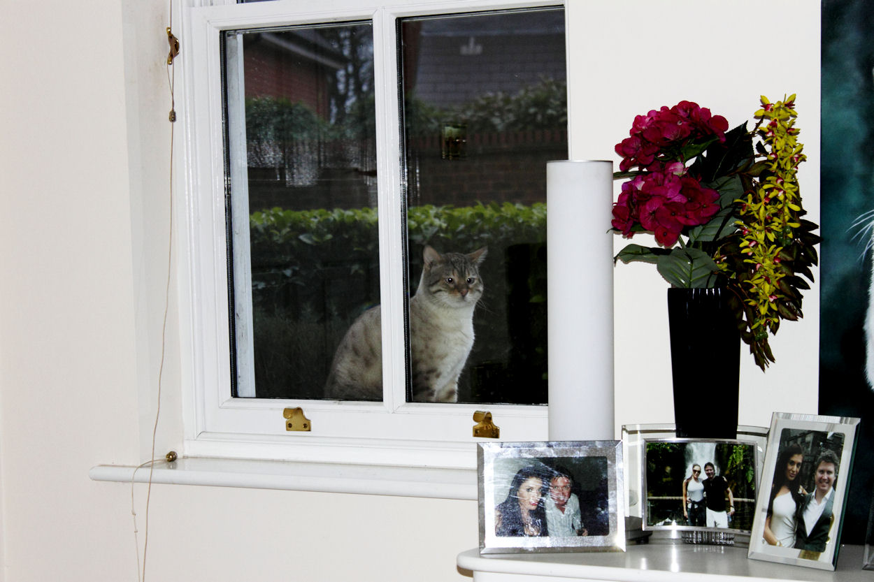 Let Me In