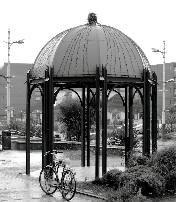 Shelter
