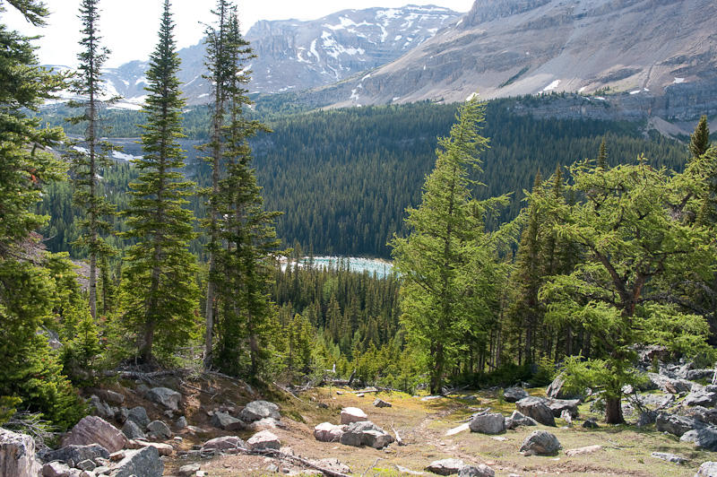 Castilleja lake