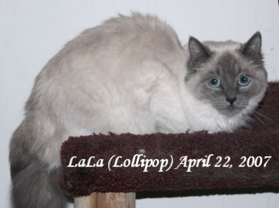 LaLa April22
