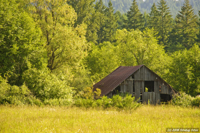 Barn on Parsons Creek Road