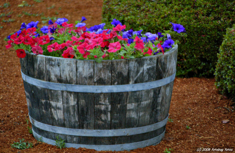 Barrel of fun