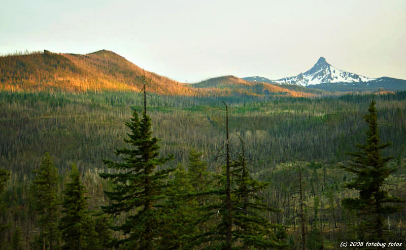 Mt. Washington - Oregon Cascades