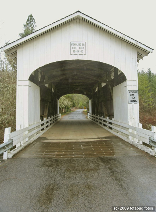 D3-020609_343.jpg