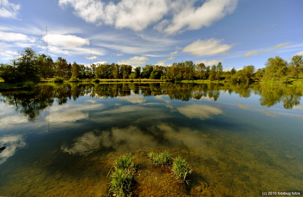 Alton Baker Park Pond