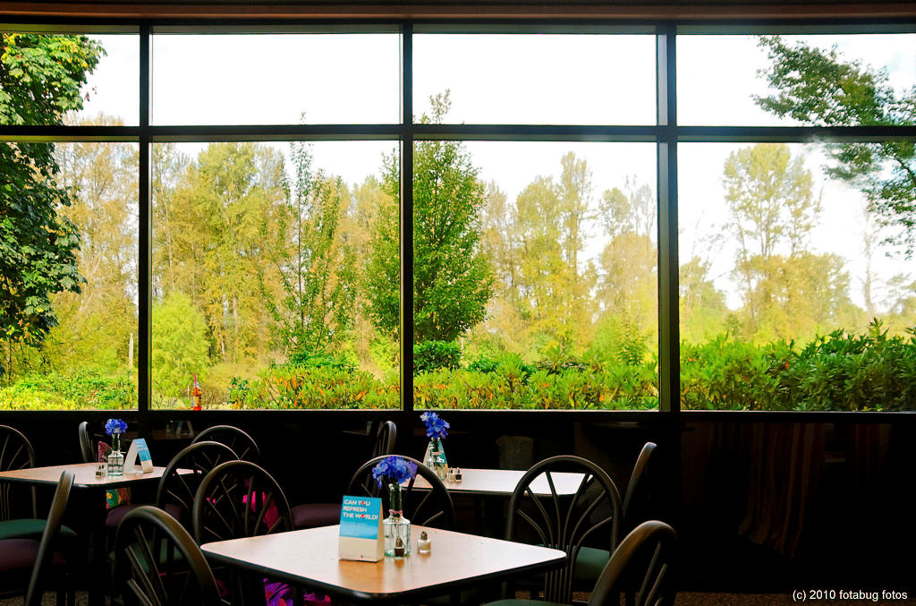 Window With A View