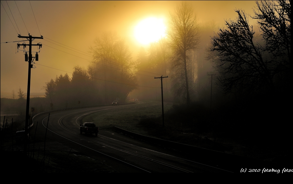 Morning Fog