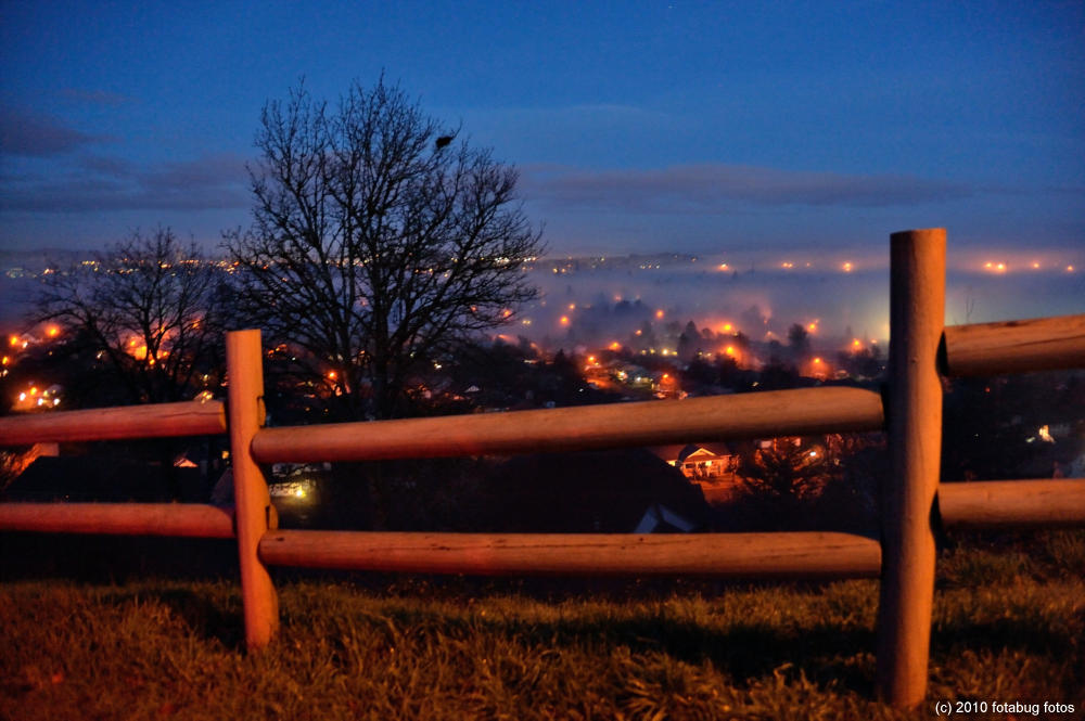 Eugene In A Fog