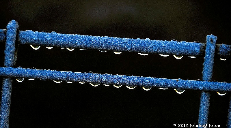 Rain Drops