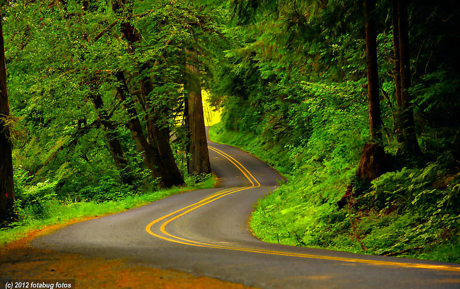 A Curve in the Road