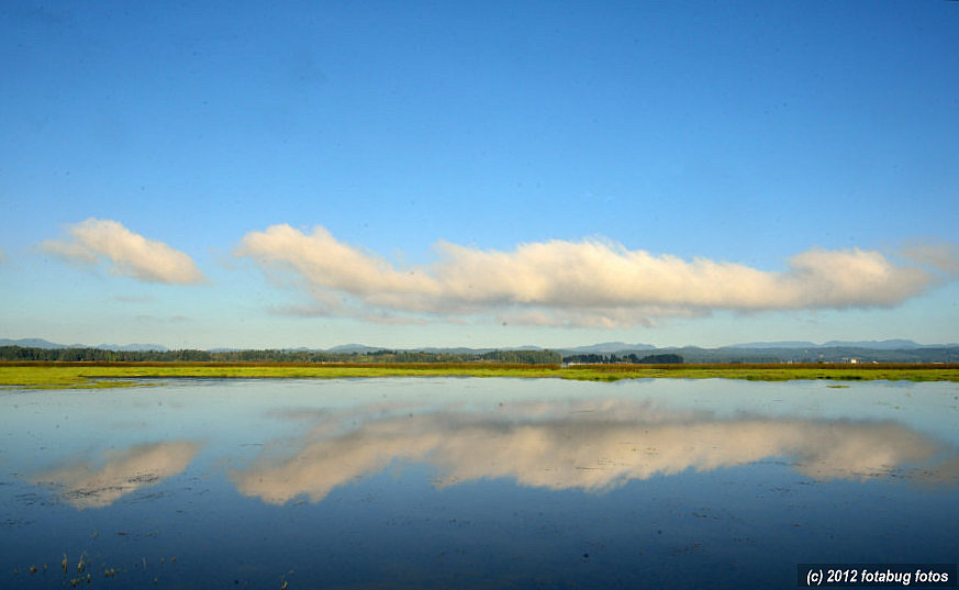 Clouds Over Fern Ridge Lake