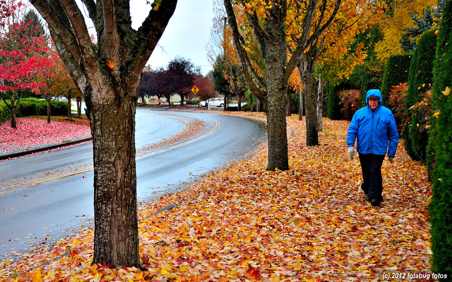 Walking on a Wet Fall Day
