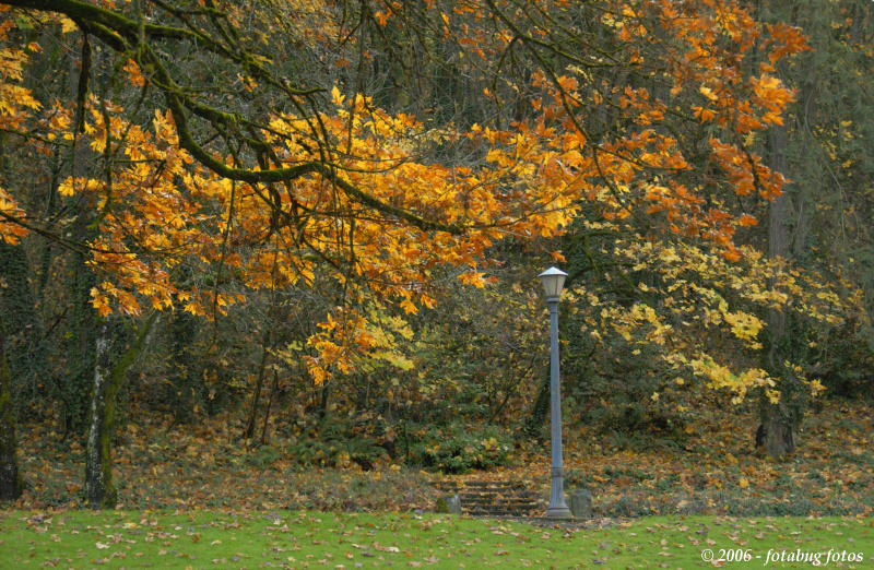 D200-2006-11-14_124.jpg