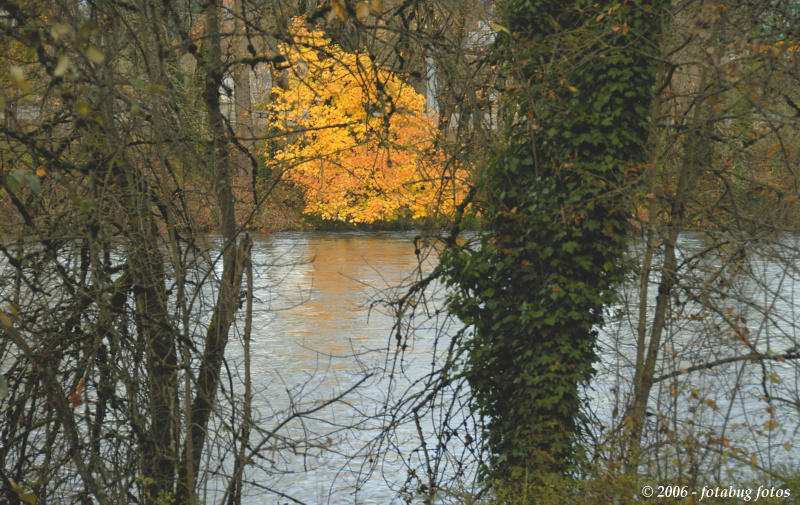 D200-2006-11-14_135.jpg