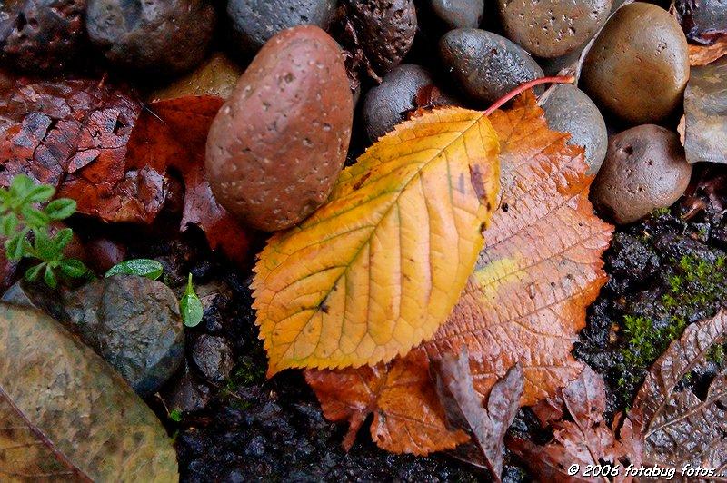 _DSC3560.jpg
