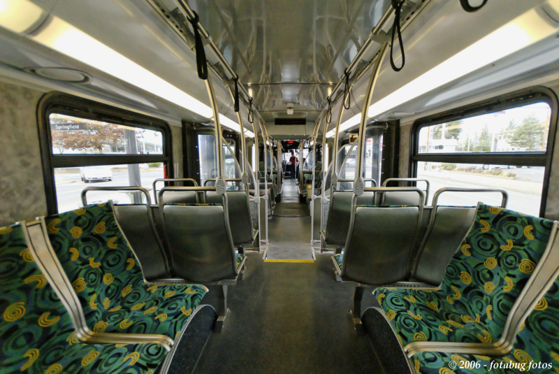 From the back of the bus