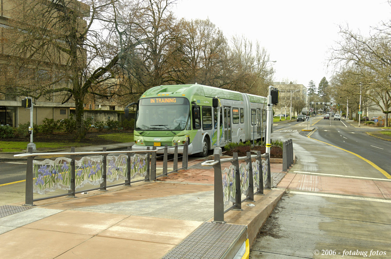 D2x2006-12-22_009.jpg
