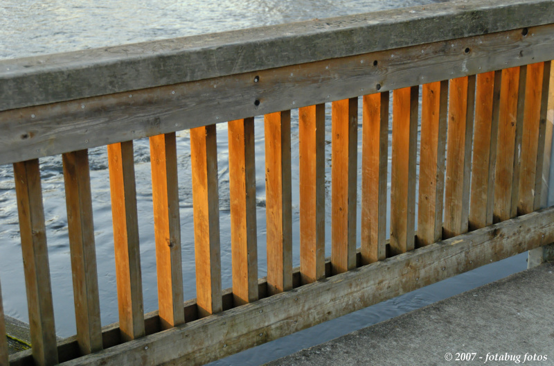 D200-2007-01-24_128.jpg