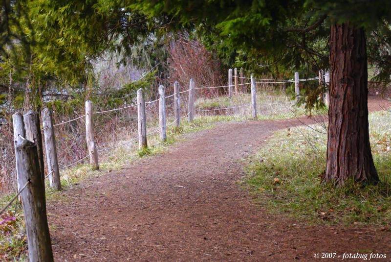 Trail along the river